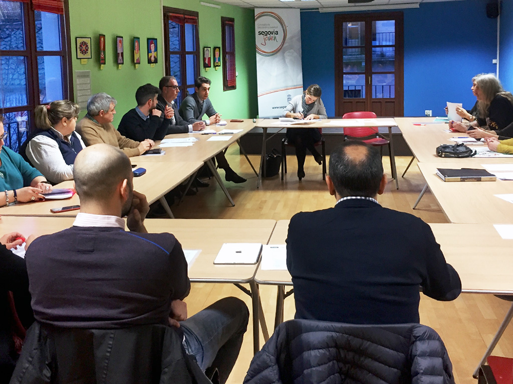 Imagen del pleno celebrado esta semana por el Consejo Escolar Municipal de Segovia. / El Adelantado