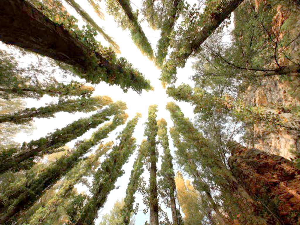 Una de las fotografías de la exposición ‘Paisajes del Duero’. / E. A.
