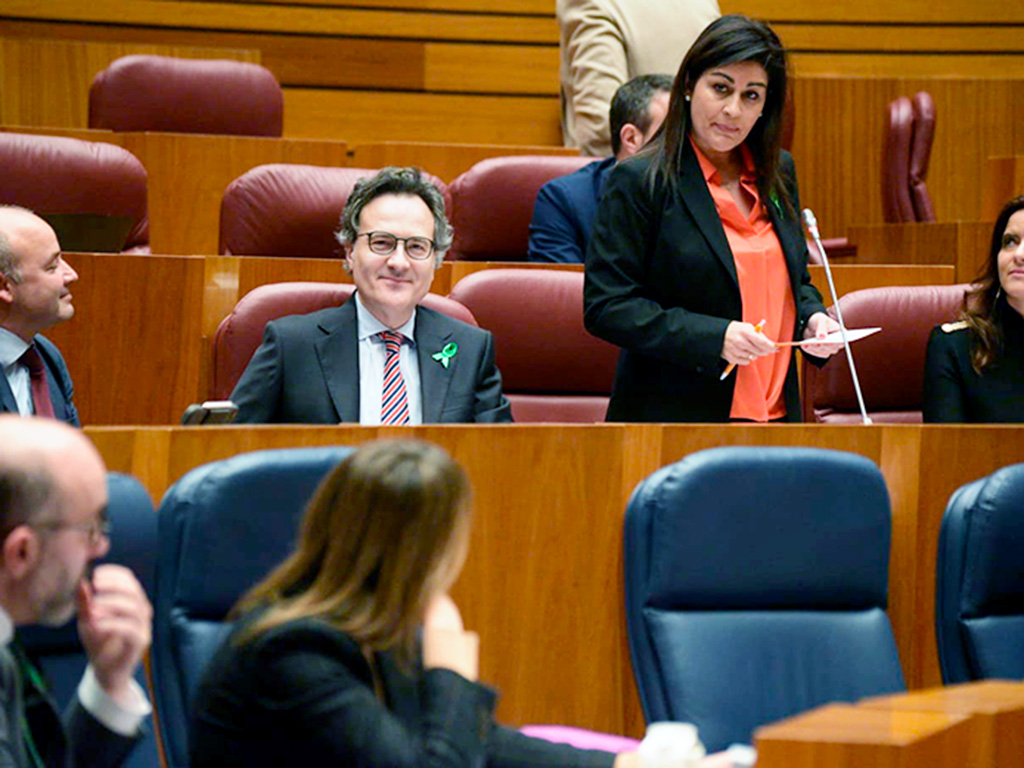 La procuradora de Ciudadanos por Segovia, Marta Sanz Gilmartín. E. A