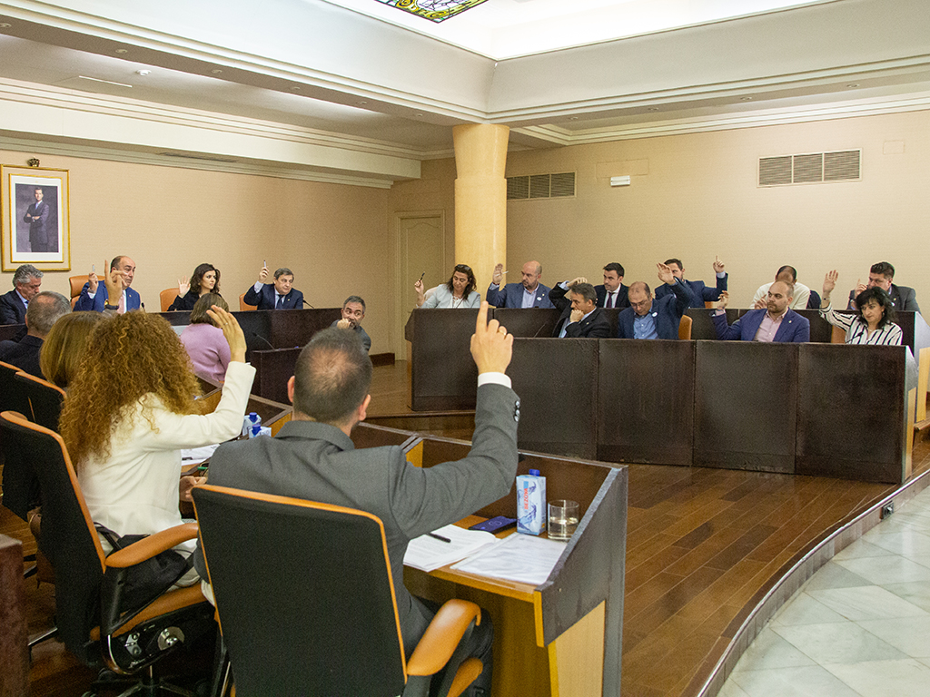 La corporación aprobó por unanimidad la propuesta sobre el IVA./NEREA LLORENTE