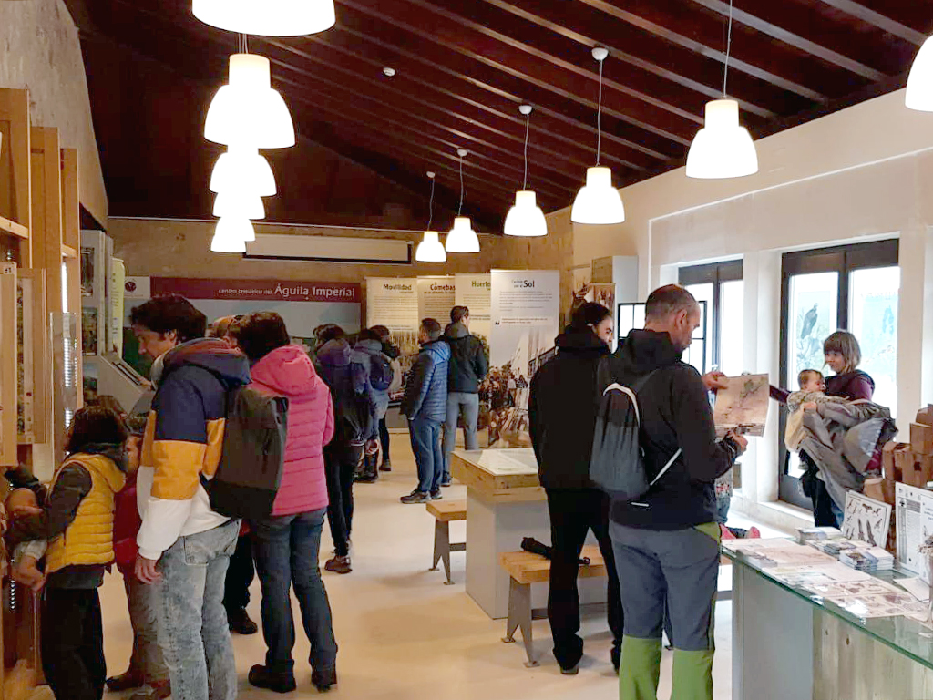 Visitantes en una de las salas del centro del Águila Imperial de Pedraza./E.A.