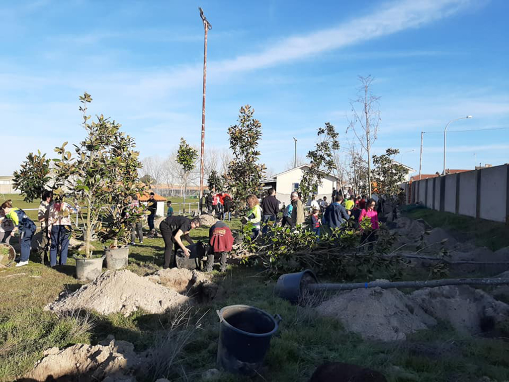 Plantación de varios árboles en las inmediaciones del campo de fútbol de Navas de Oro. / E.A.