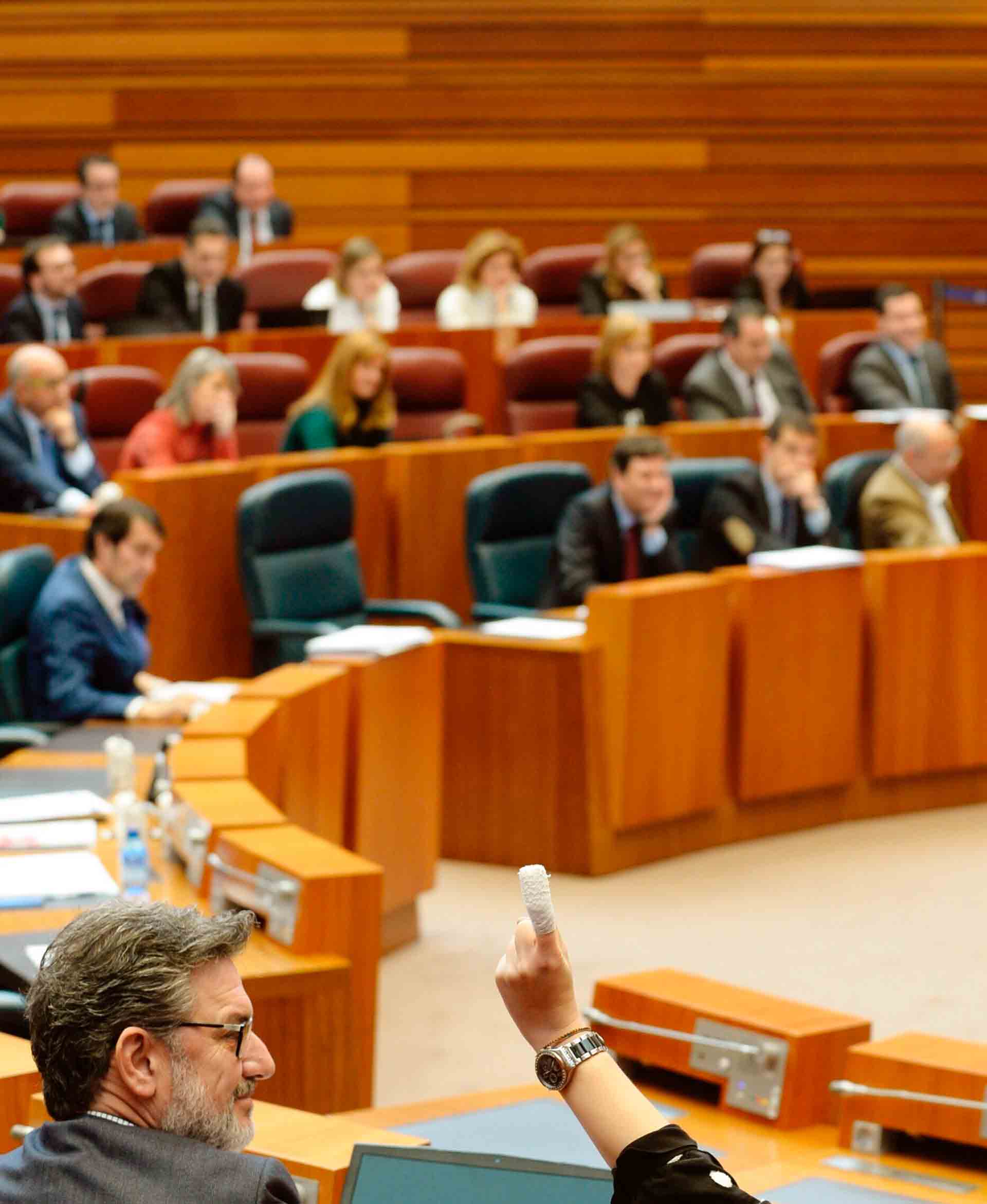 Una de las votaciones durante el Pleno de las Cortes.