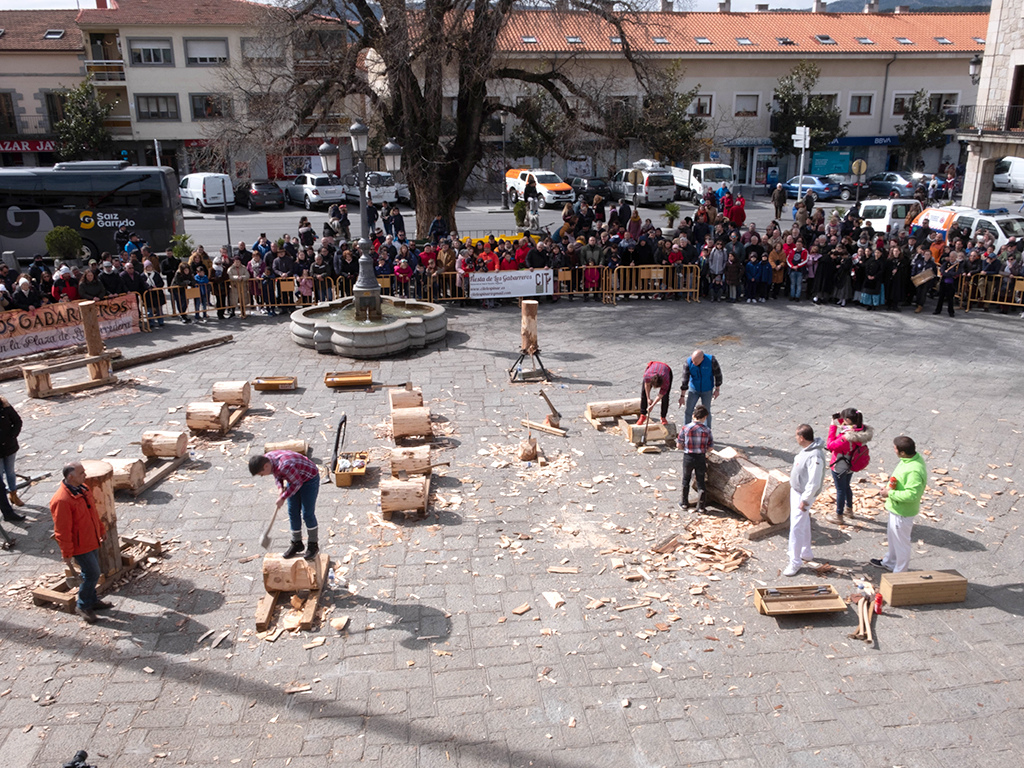 Imagen aérea de los Gabarreros de El Espinar durante la demostración de corta de leña. /JOSÉ REDONDO
