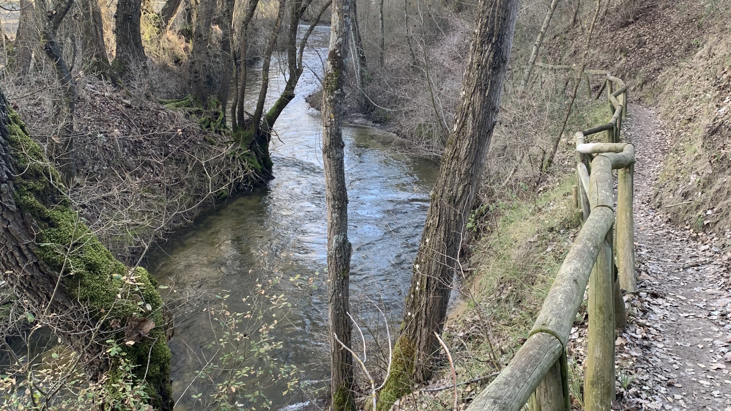 El río Cega, a su paso por el entorno de Cuéllar.