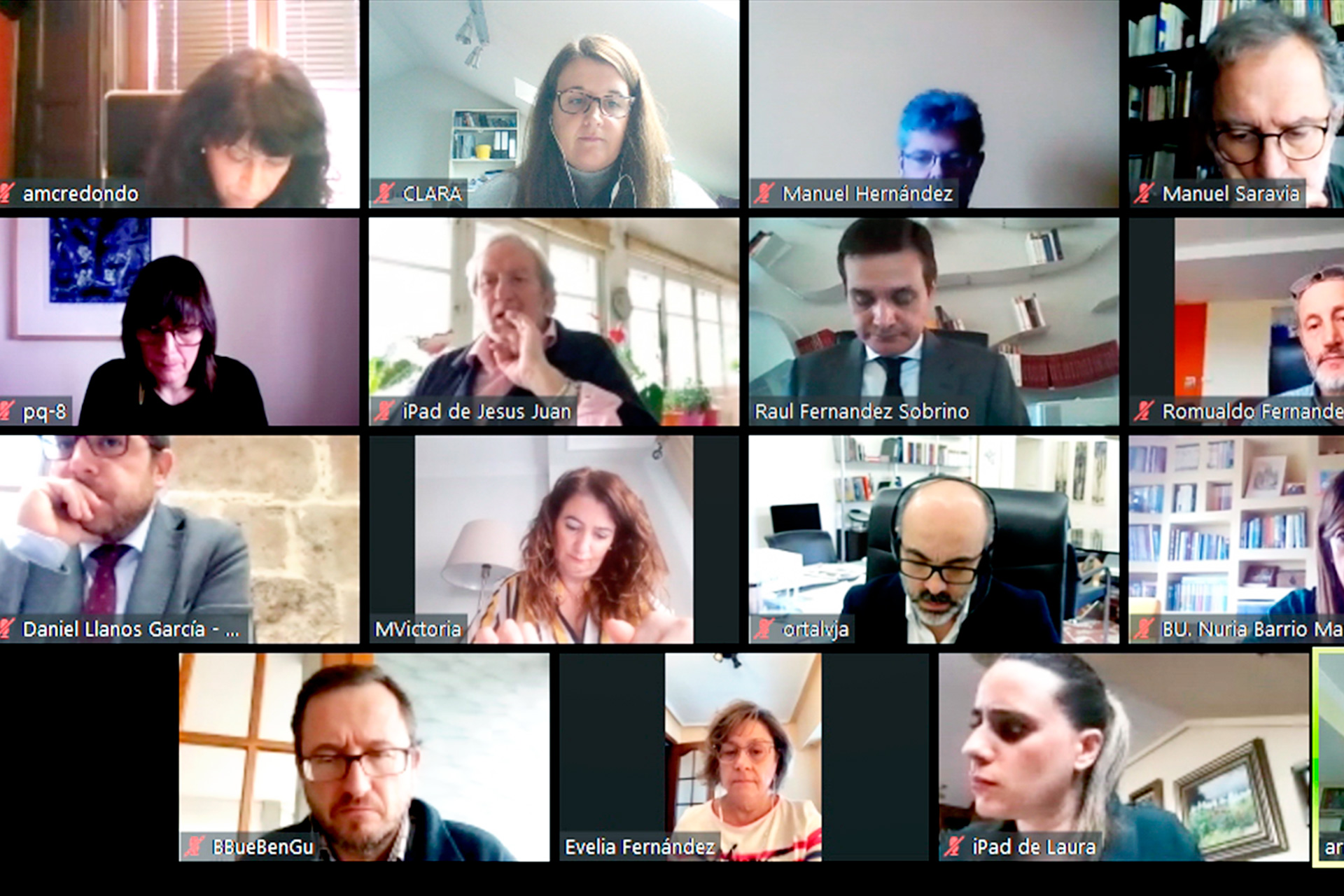 Imagen del encuentro virtual que han mantenido los concejales de las capitales con el consejero. / El Adelantado