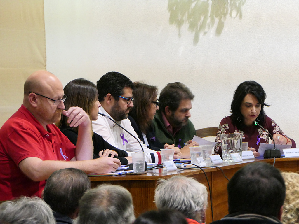 Un pleno del Ayuntamiento de El Espinar, celebrado de manera presencial, antes de que llegara la situación del coronavirus. / EL ADELANTADO