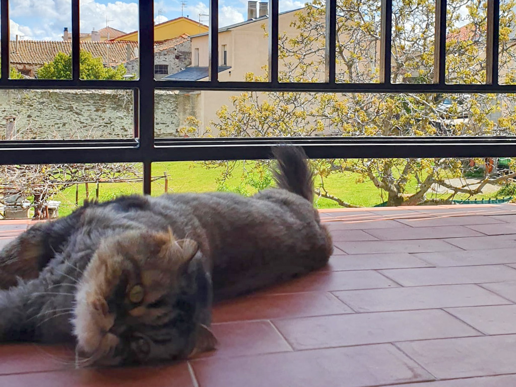 Las fotografías deberán realizarse desde las ventanas o balcones. / Gema López