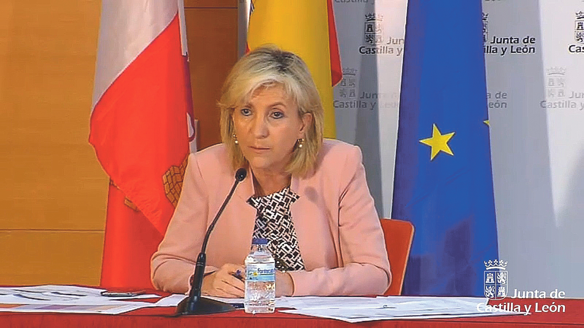 La consejera de Sanidad, Verónica Casado, comparece de forma telemática ante los medios. / El Adelantado