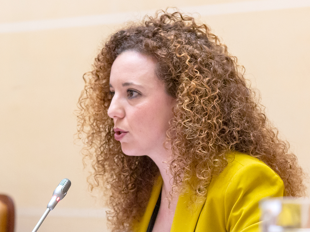 Noemí Otero, portavoz de Ciudadanos en el Ayuntamiento de Segovia. / Nerea Llorente