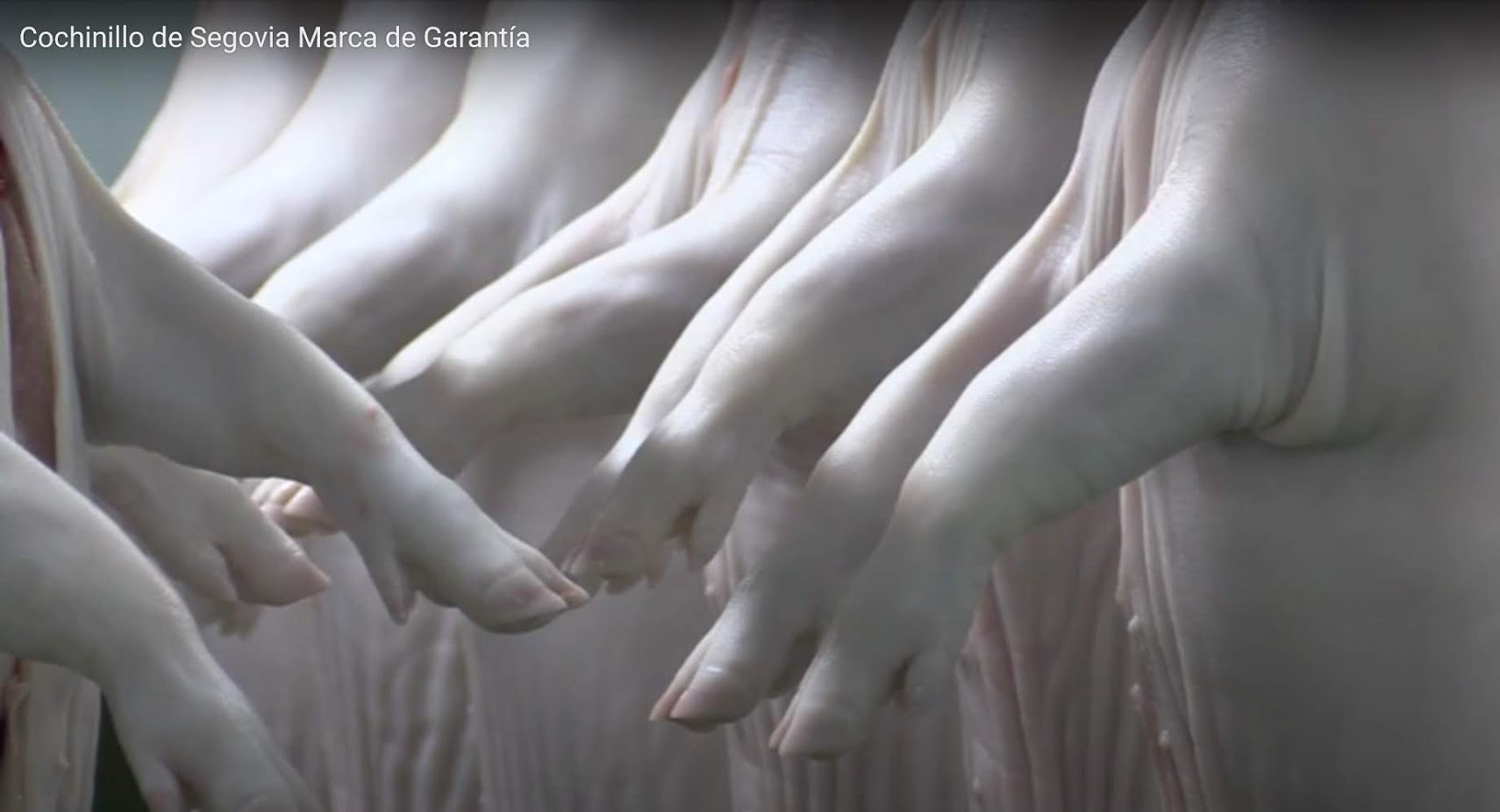 MANOS cochinillos SIN MARCA