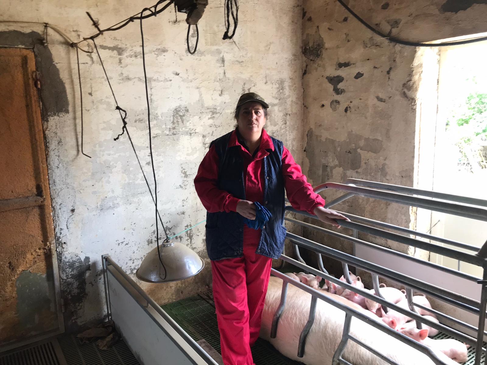 Rosa Arranz en su granja familiar de porcino, en Olombrada.