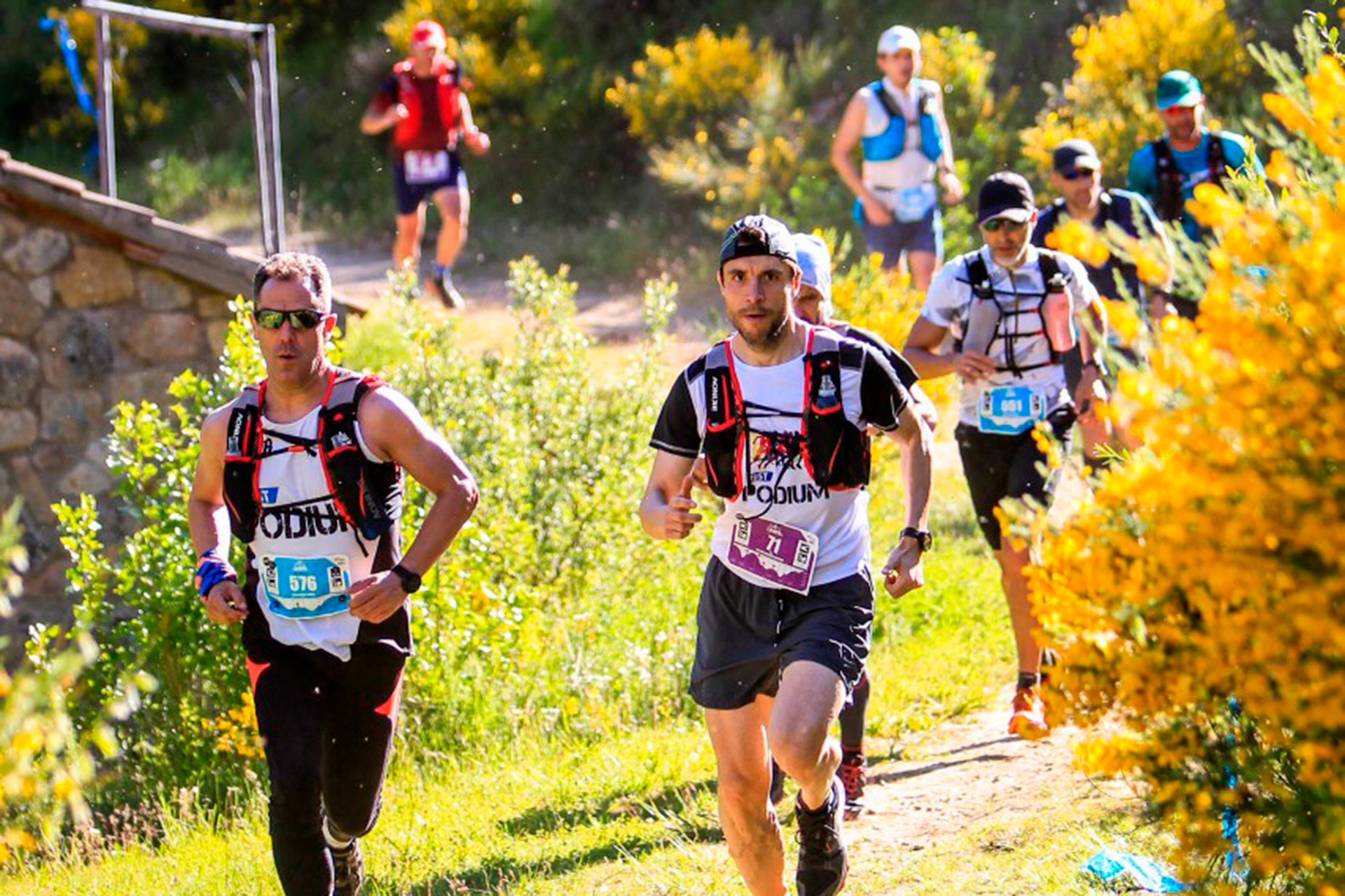 Atletas corriendo en una pasada edición de la Riaza Trail Challenge./ R.T.