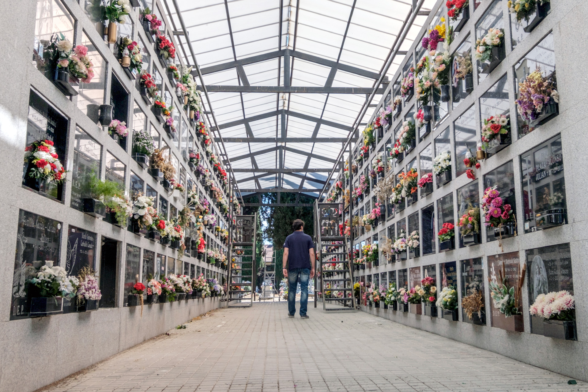 Una persona camina entre los nichos del Cementerio del Santo Ángel de la Guarda de la capital segoviana.