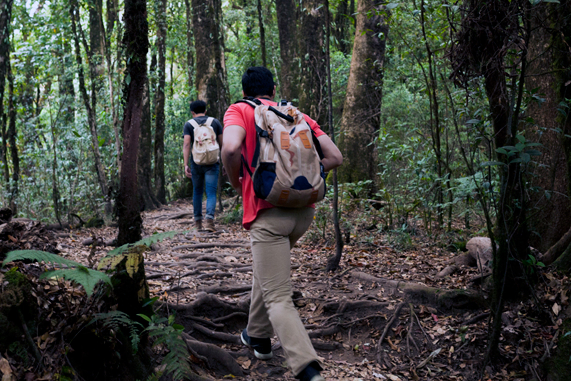 La provincia cuenta con una gran riqueza natural. /E.A.