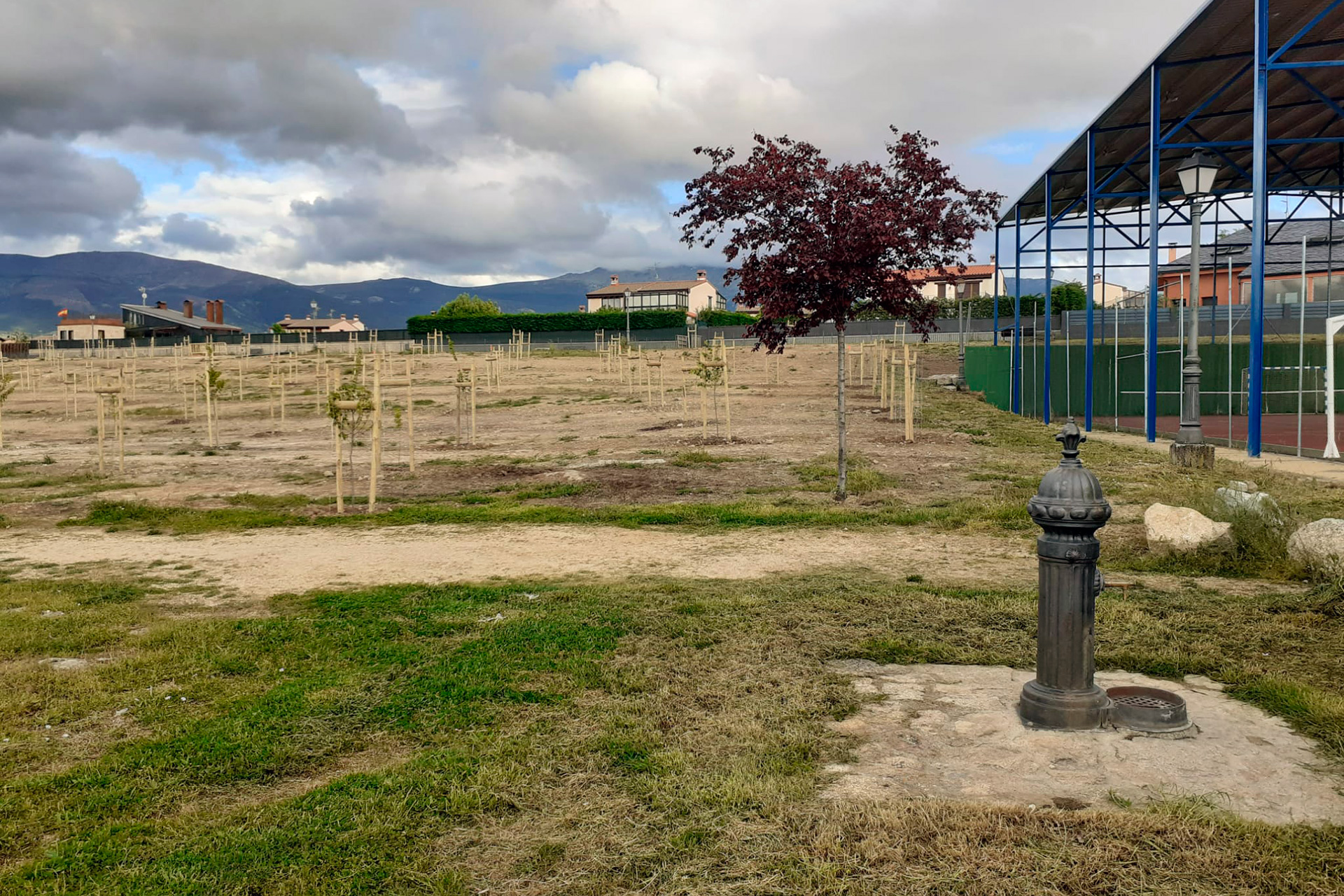 Plantación de árboles en Robledo. /E.A.
