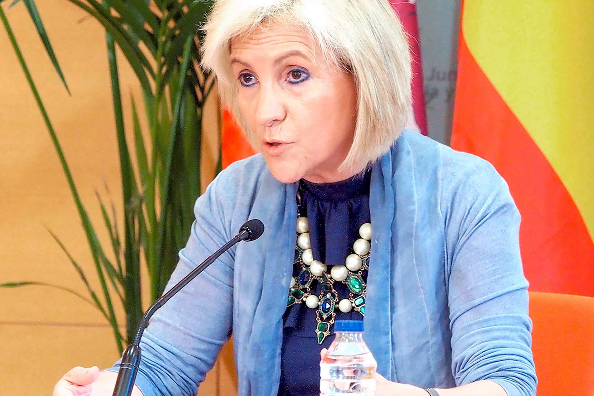 El Ministerio ha aceptado la propuesta de la consejera de sanidad de Castilla y León./ EFE