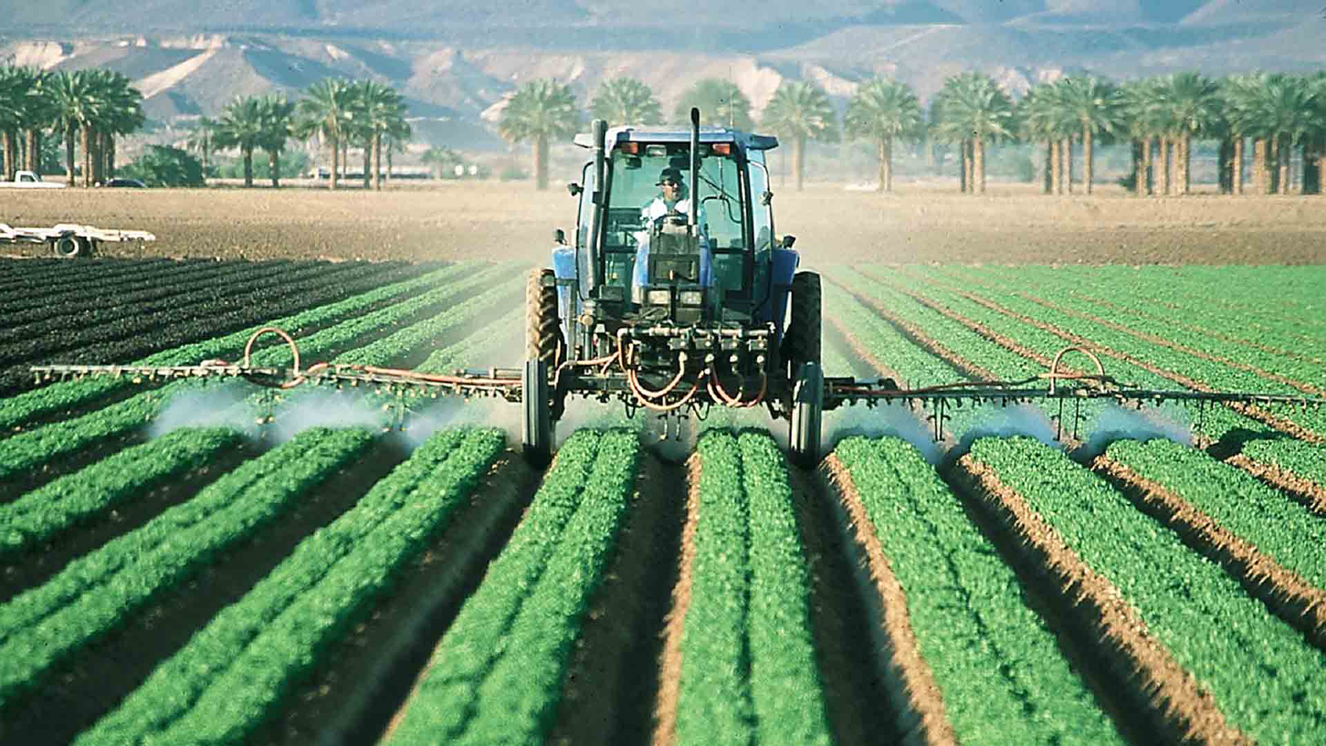 Un agricultor, en plena labor de campo. / EL ADELANTADO