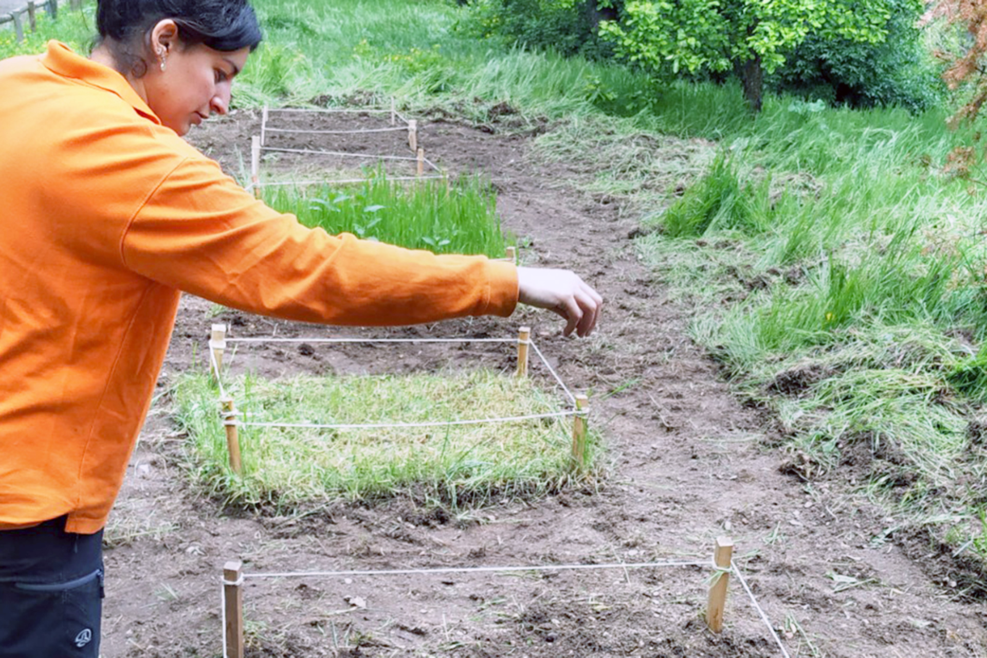 Técnicos del programa ‘Segovia educa en verde’, de la Concejalía de Medio Ambiente, han seleccionado tres parcelas de estudio en la capital segoviana. / E. A.