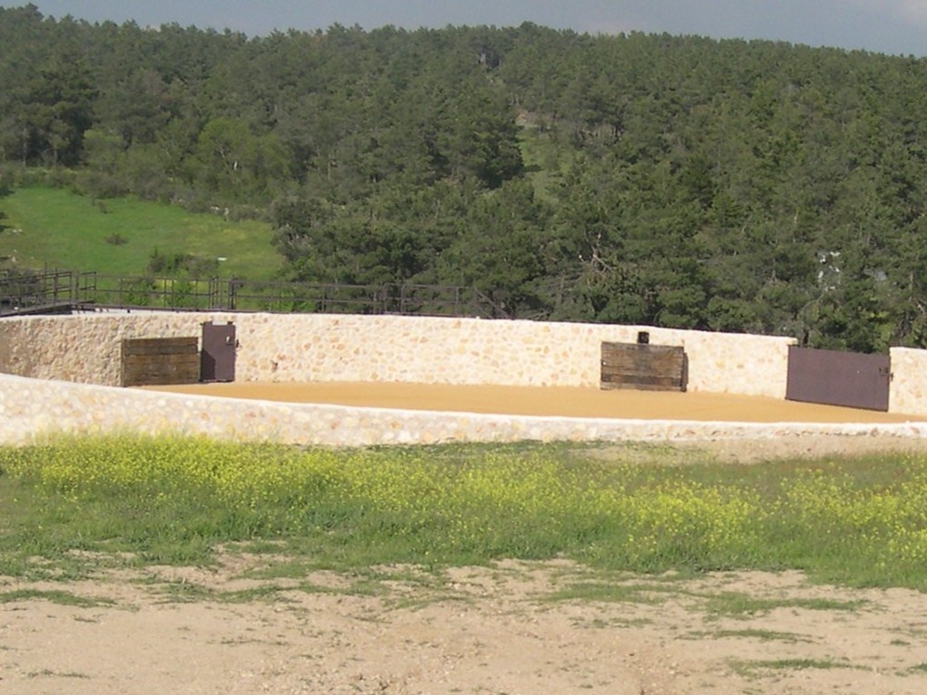 Plaza de tientas de la finca 'El Cerro' de La Higuera. / EL ADELANTADO