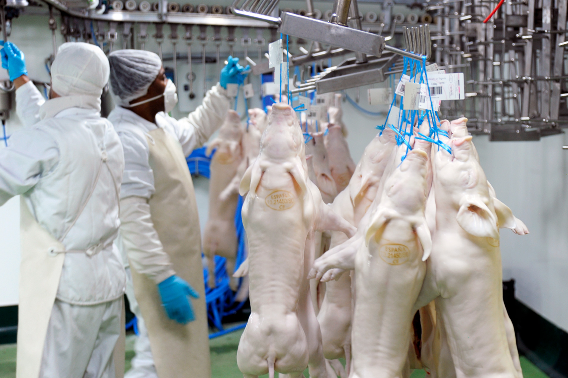 12 2kam Carnicas Tabladillo KAM3216