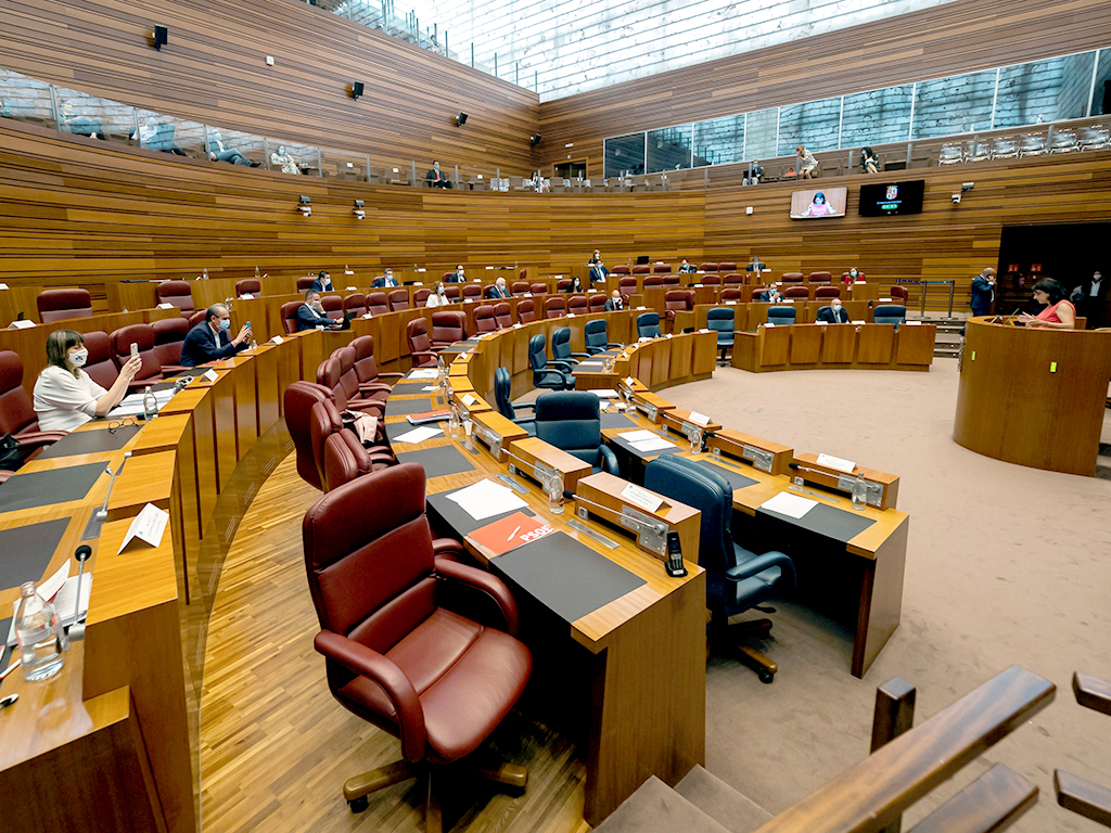 Una de las intervenciones en el pleno de las Cortes de Castilla y León ayer miércoles. / EFE/ R. Garcia