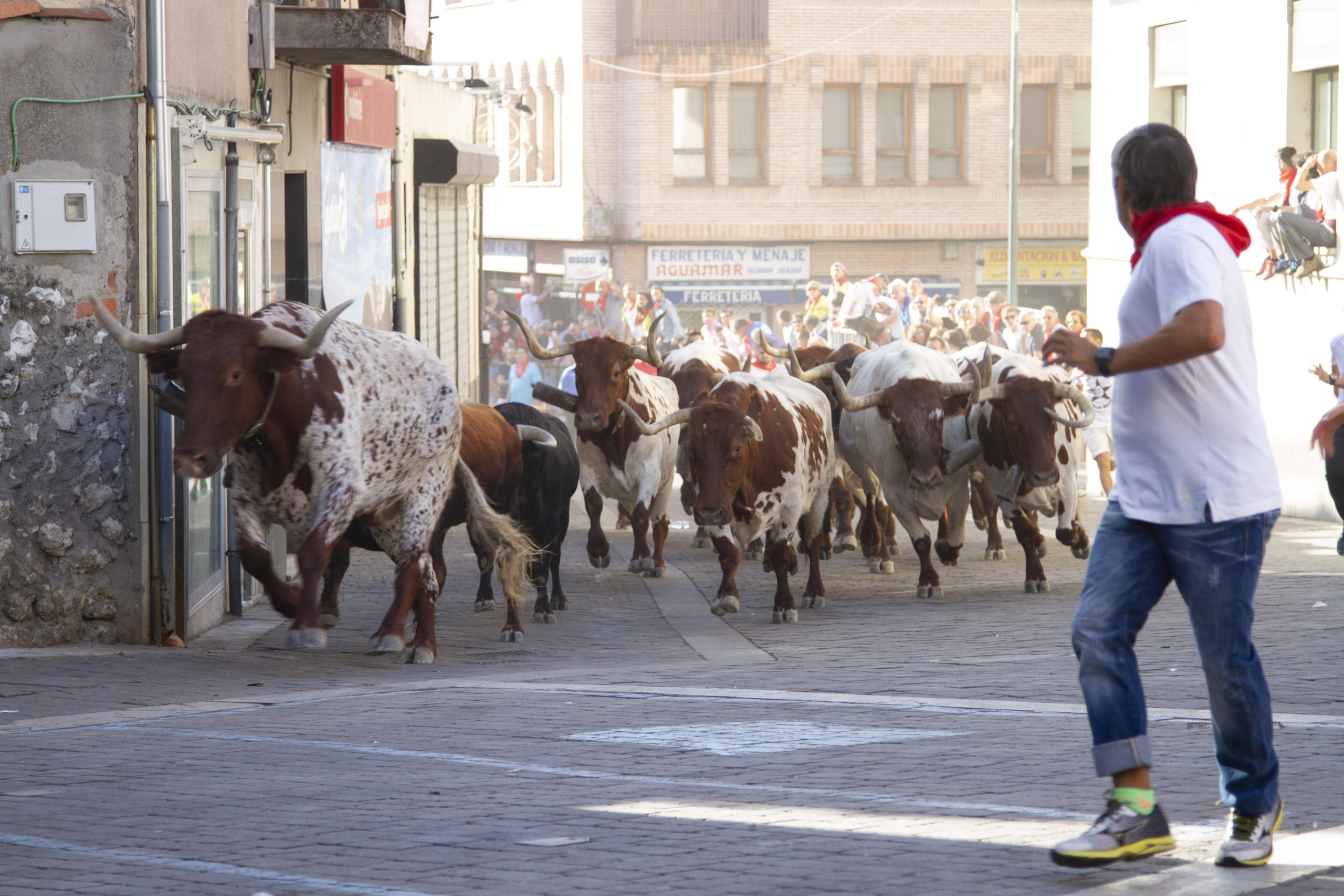 2 encierro lunes scaled