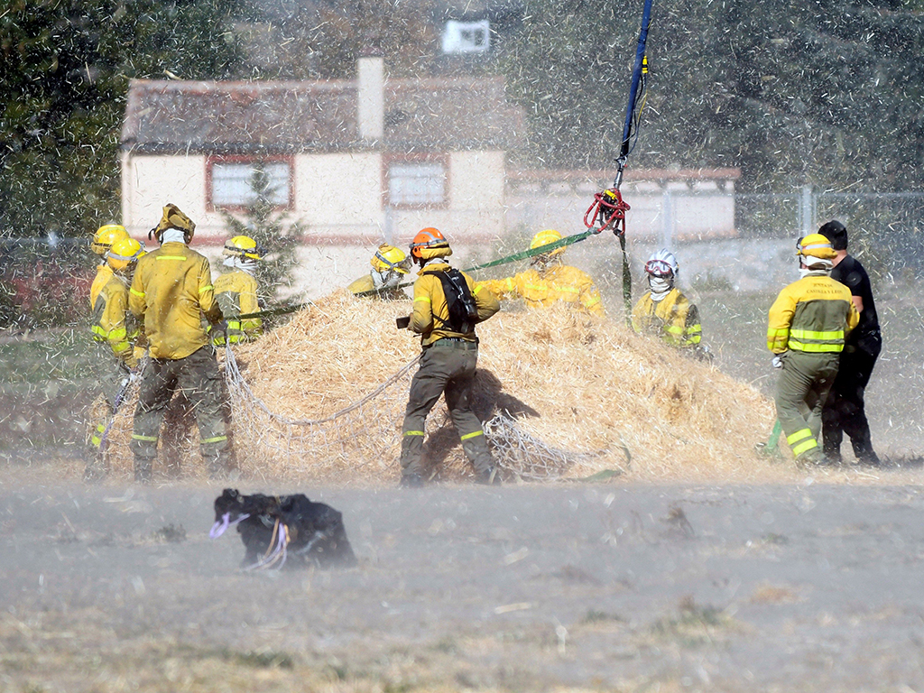 Operarios de la Junta de Castilla y León, trabajando en la extinción del incendio de La Granja./ EFE