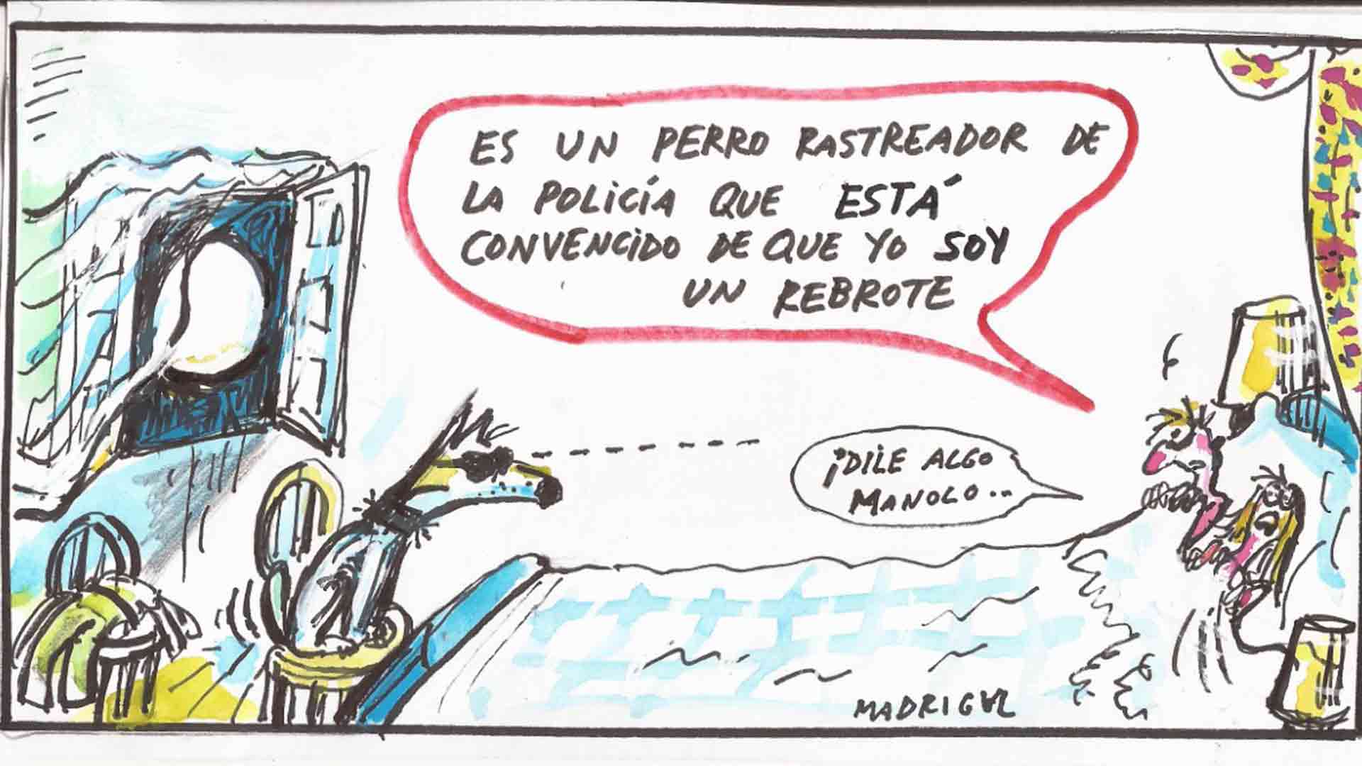 03 01 madrigal Colaboracion 19 07 2010 Perro rastreador