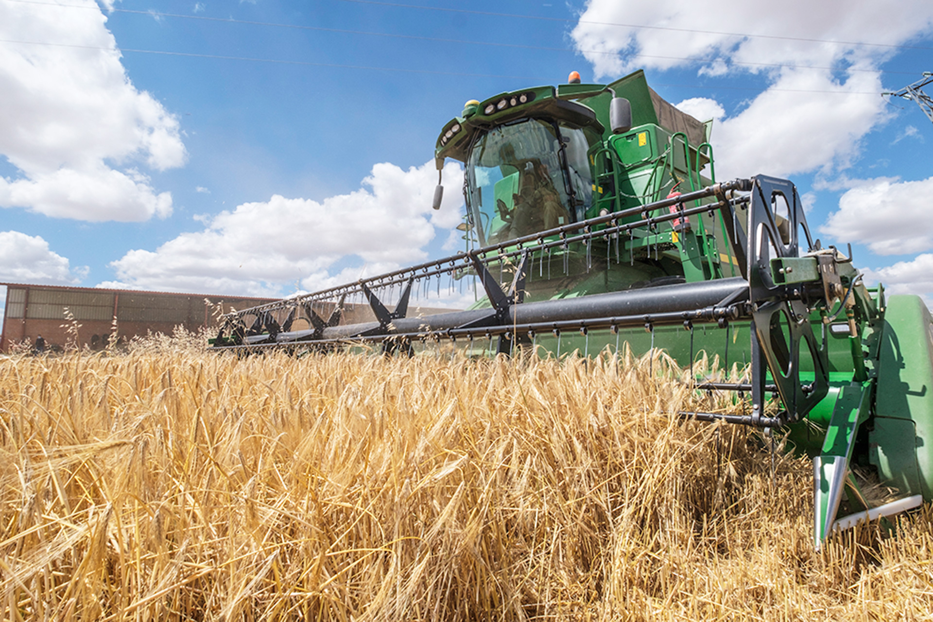 Proceso de cosechado. / KAMARERO