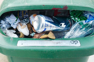 La nueva gestión de los residuos comenzará con la renovación de contenedores 5 07papelera4