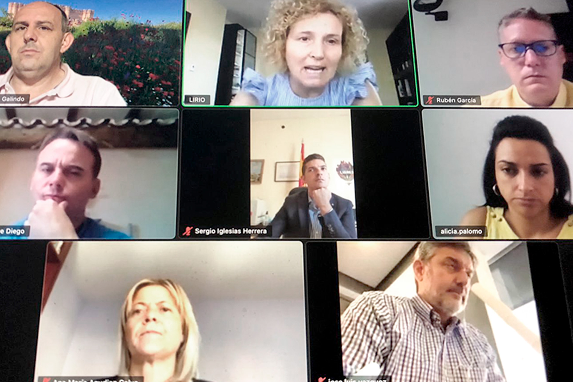 Reunión telemática entre los parlamentarios socialistas de Segovia. / E.A.