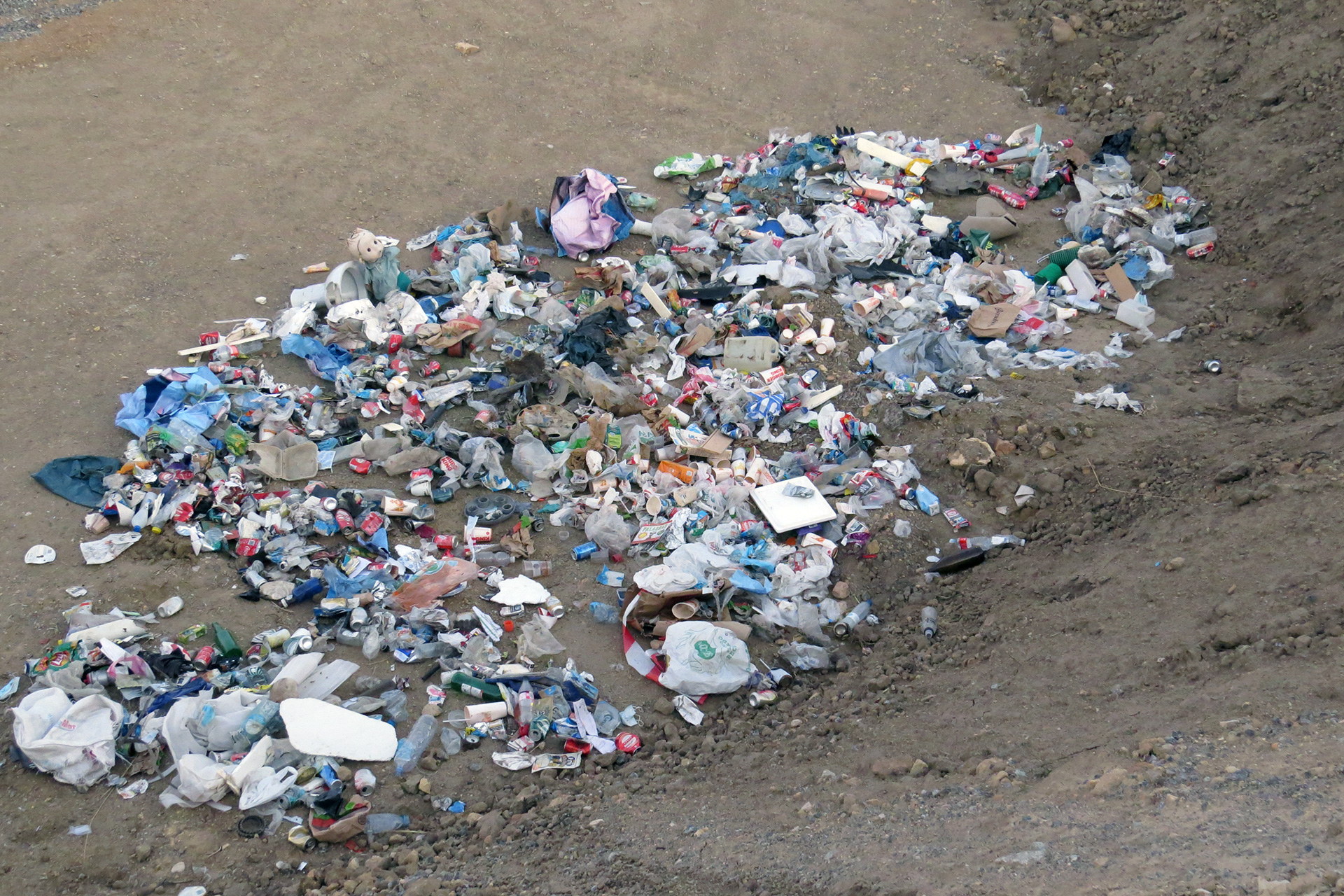 Residuos recogidos de las cunetas de la carretera de La Granja. / E.A.