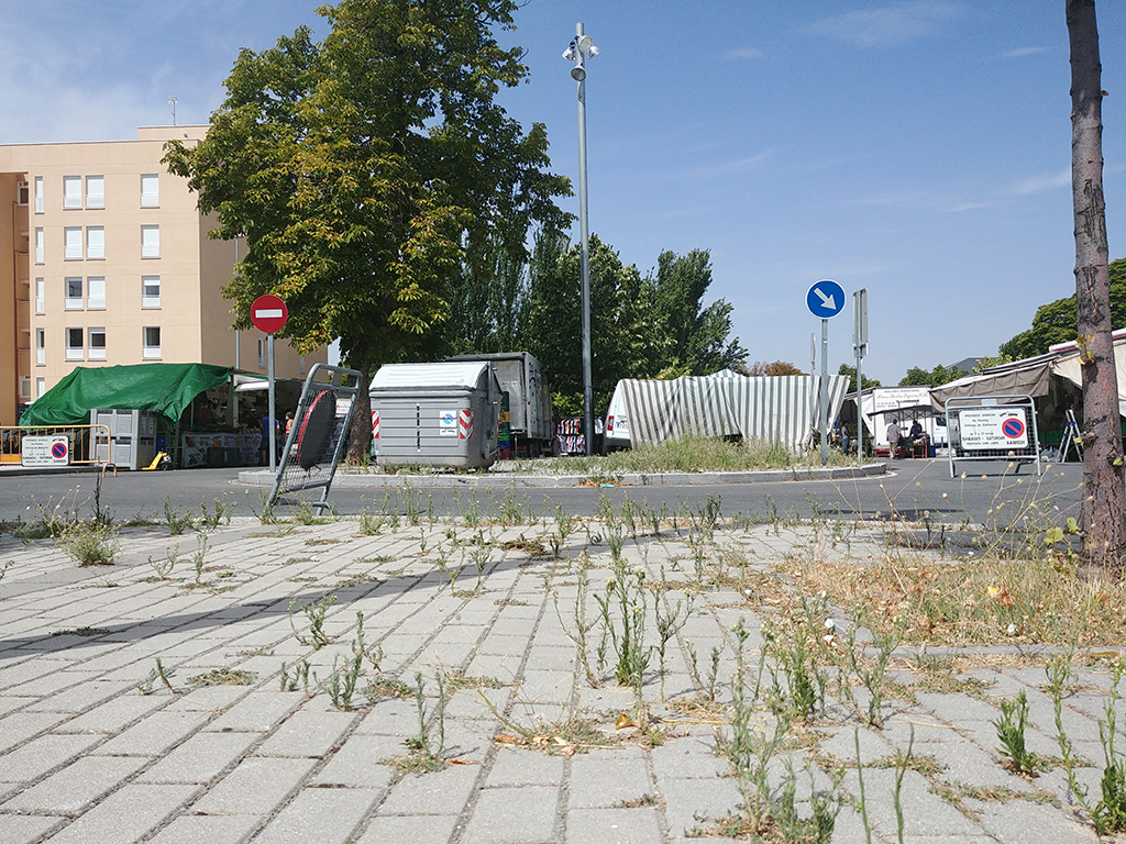 La zona invadida por malas hierbas, ayer sábado durante el mercado al aire libre. / E. A.