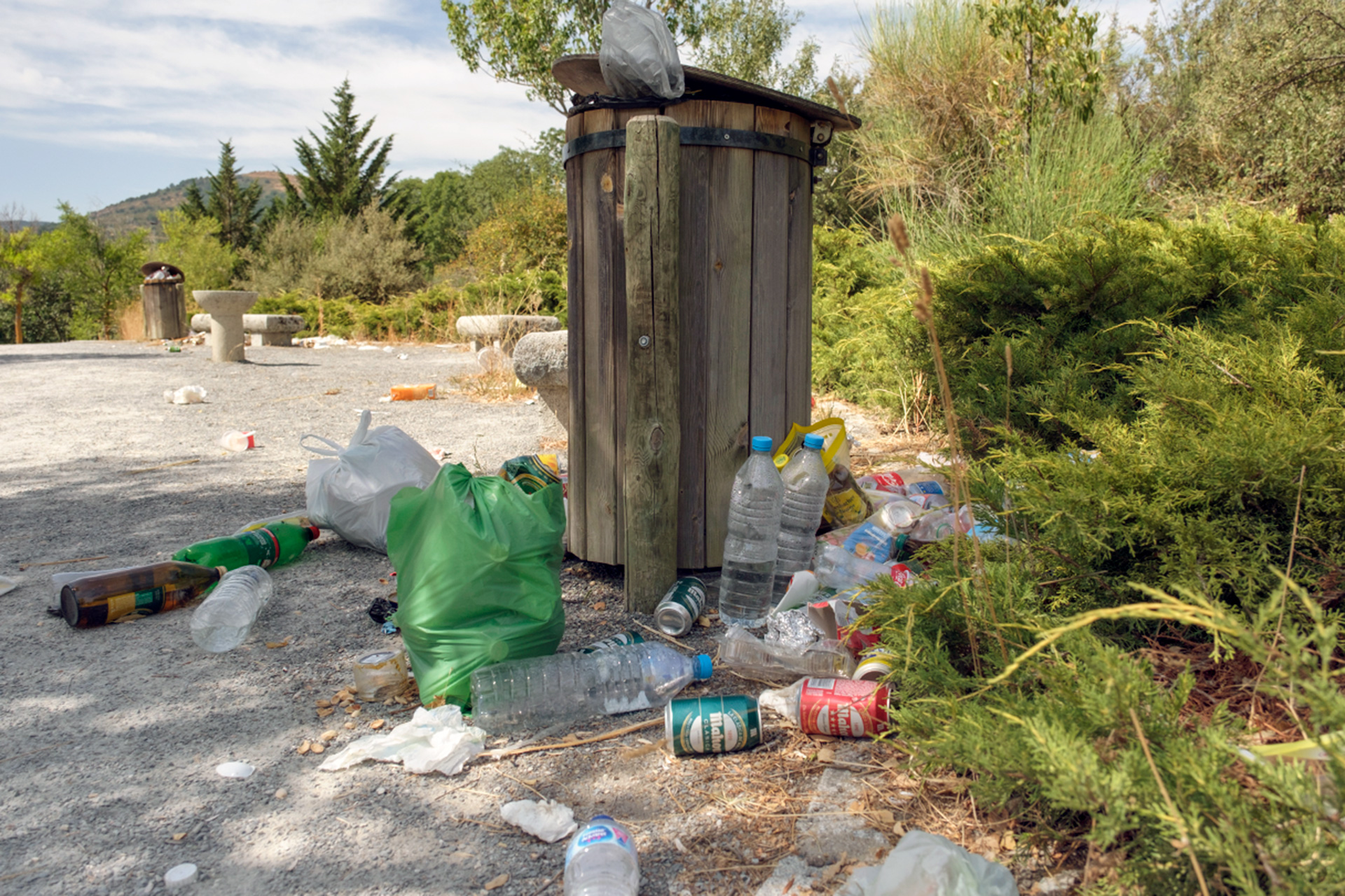 Estado que presenta estos días  el camino que rodea el Pontón Alto. /KAMARERO