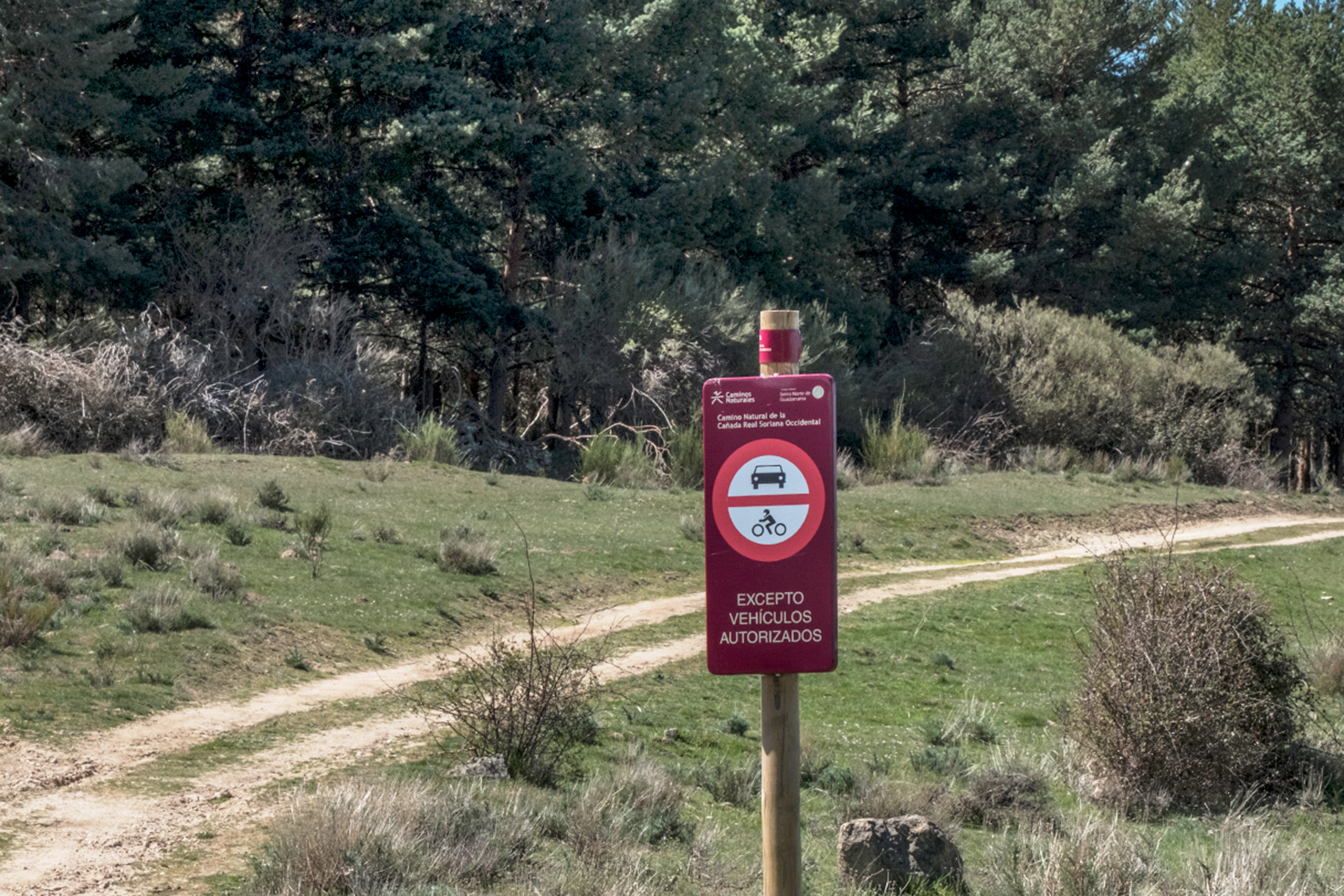 La Cañada Real Soriana Occidental pasa por la provincia en un trazado cercano a las carretera nacional 110. /KAMARERO