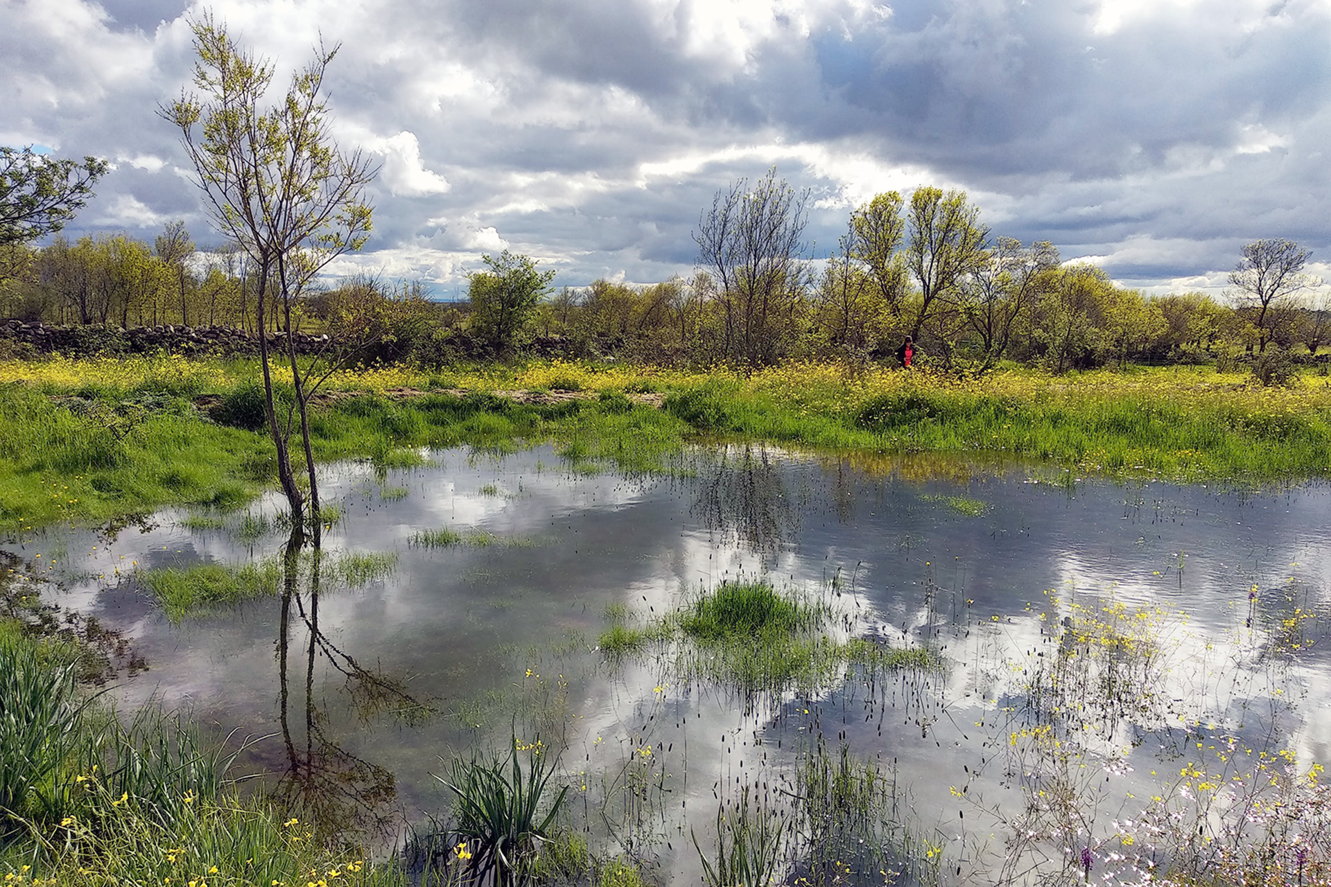La localidad ha recuperado sus antiguas pozas, un espacios tan importante para el pueblo. /E.A.