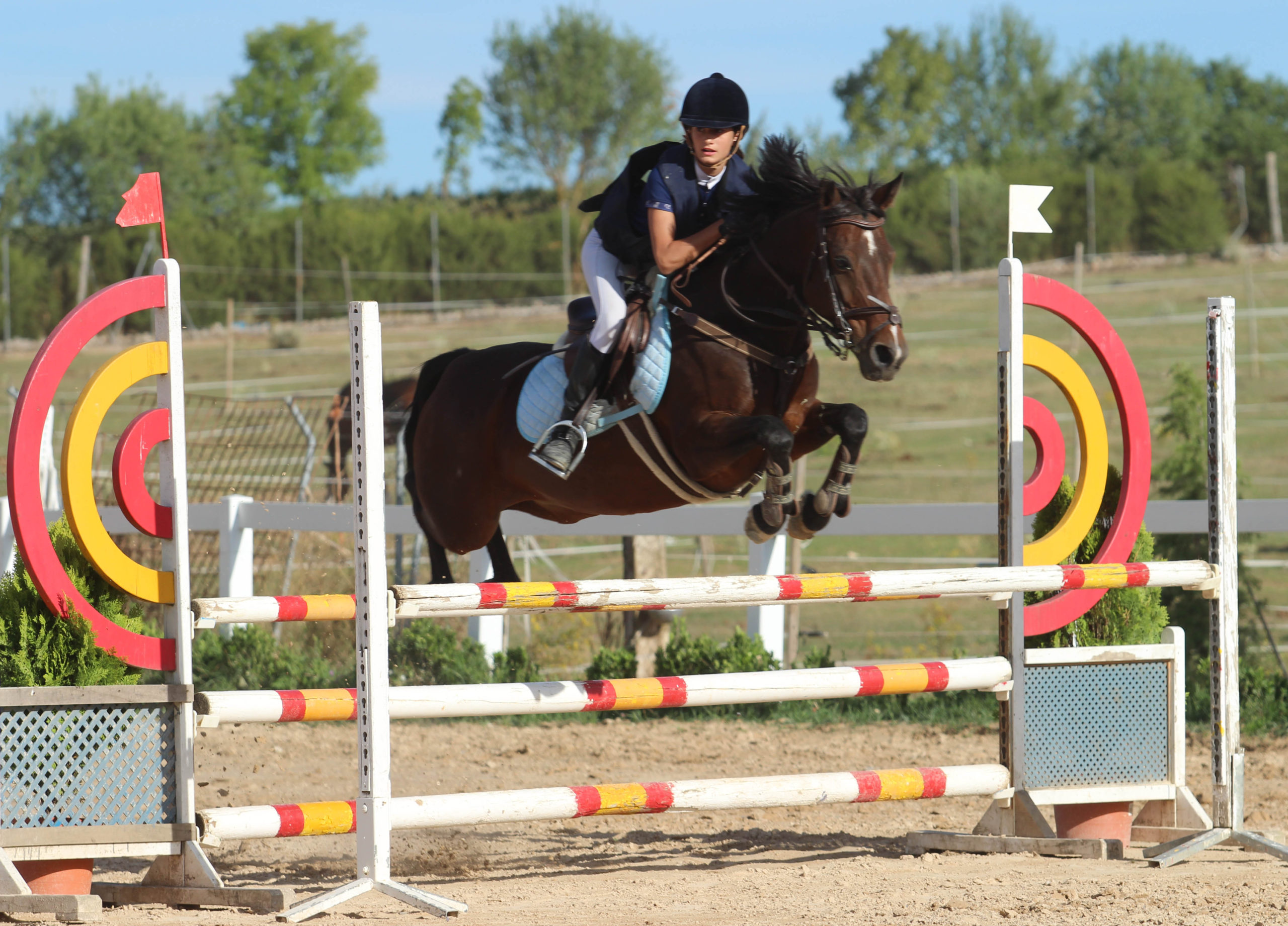 El Campeonato de España de Ponis 2020 tendrá lugar esta semana en Segovia 1 Blanca González de Román y Letizia Oro Ponis C scaled