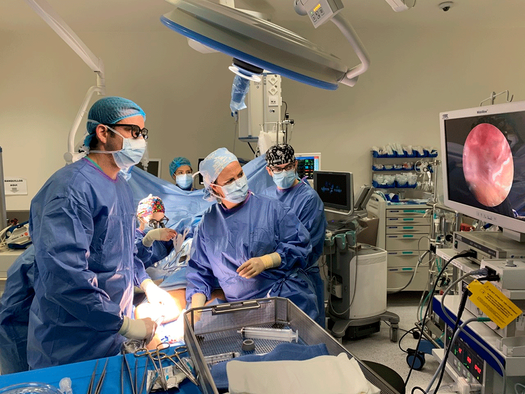 un momento de la intervención llevada a cabo con la nueva técnica de extracción endoscópica de injertos./ E.P.