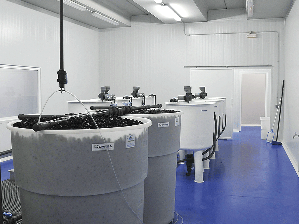 Centro de Investigación de Acuicultura creado por la Junta en Segovia. /JUAN MARTÍN