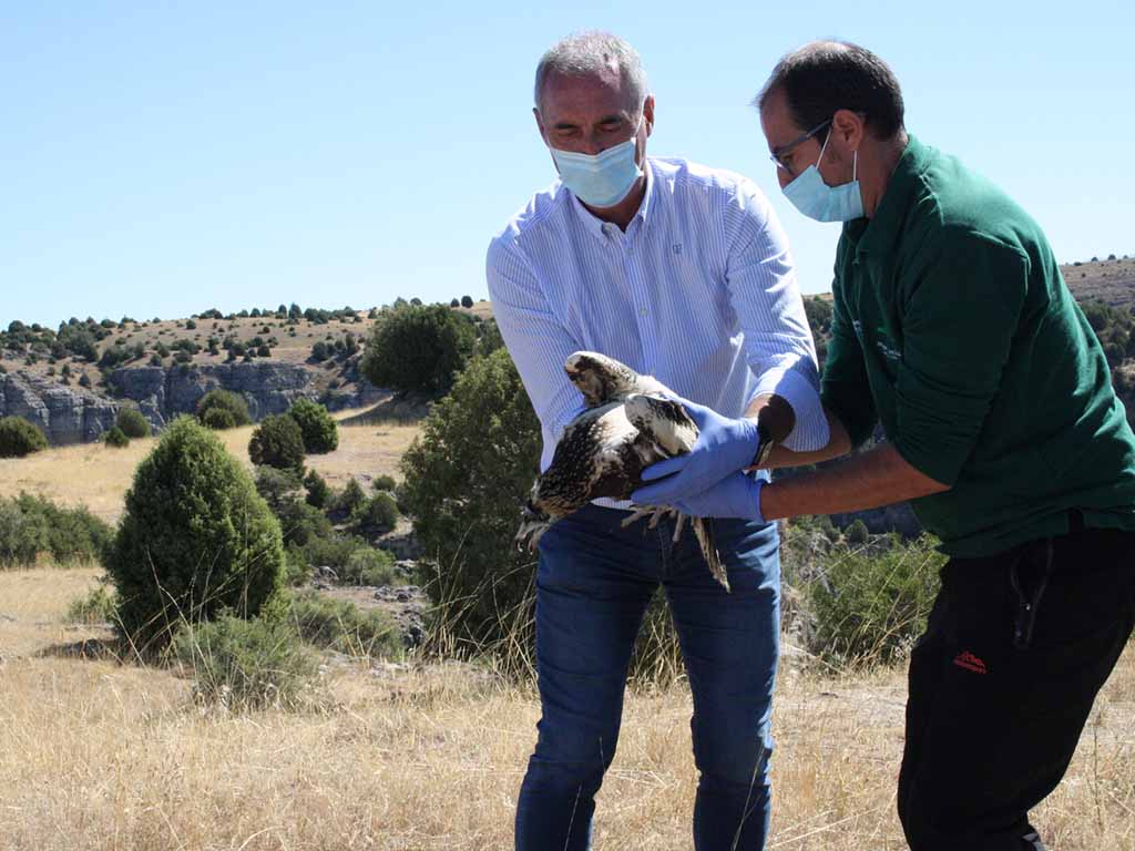 Delegado y responsable del CRAS con un alimoche. / E.A