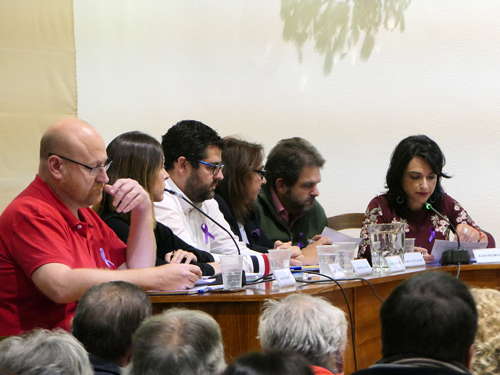 Concejales del PSOE en el Ayuntamiento de El Espinar. / EL ADELANTADO