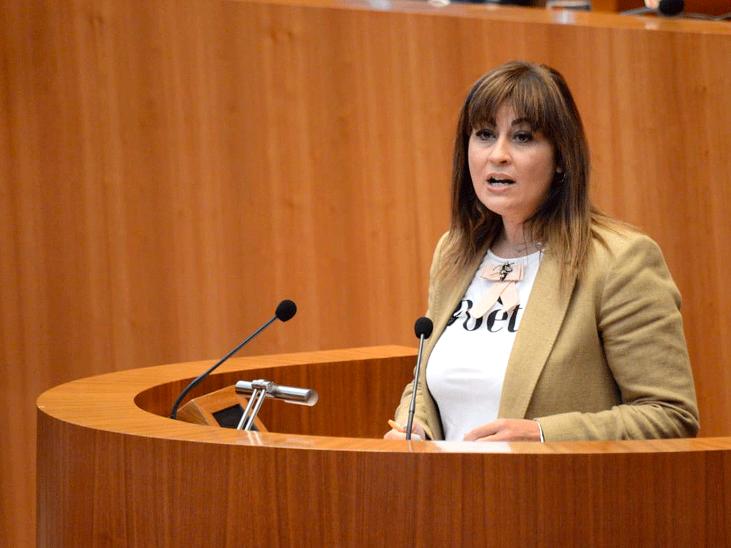 La procuradora Marta Sanz, durante su intervención. /E.A.