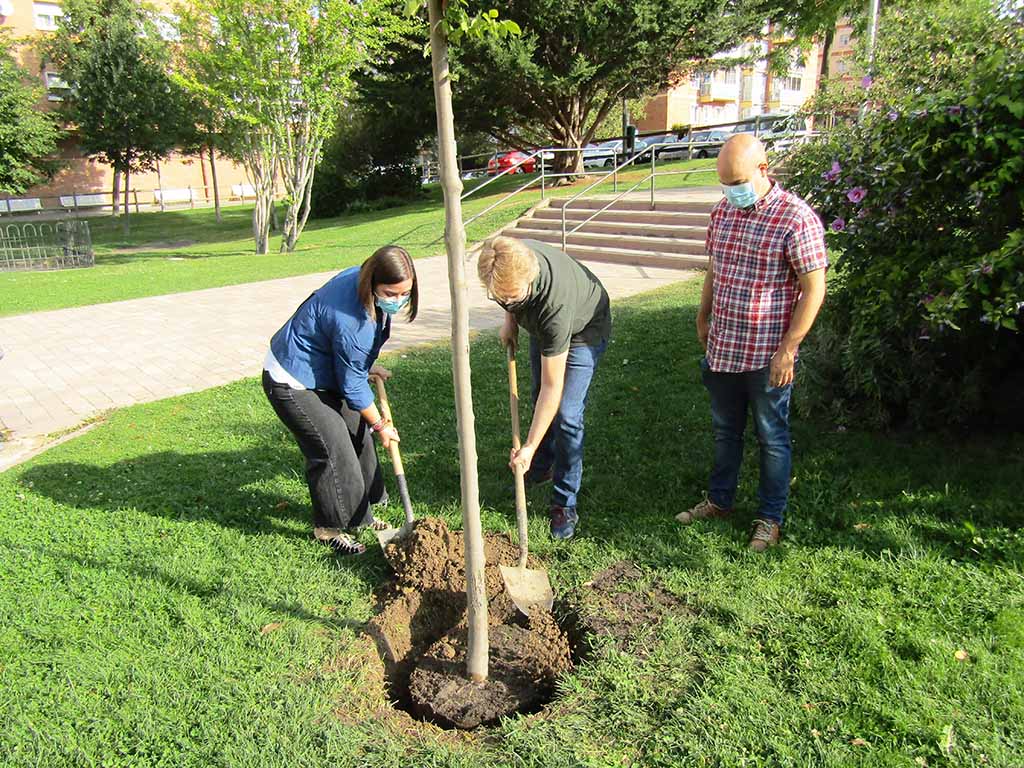 Los concejales han procedido a la plantación de un Olmo autóctono. / E.A