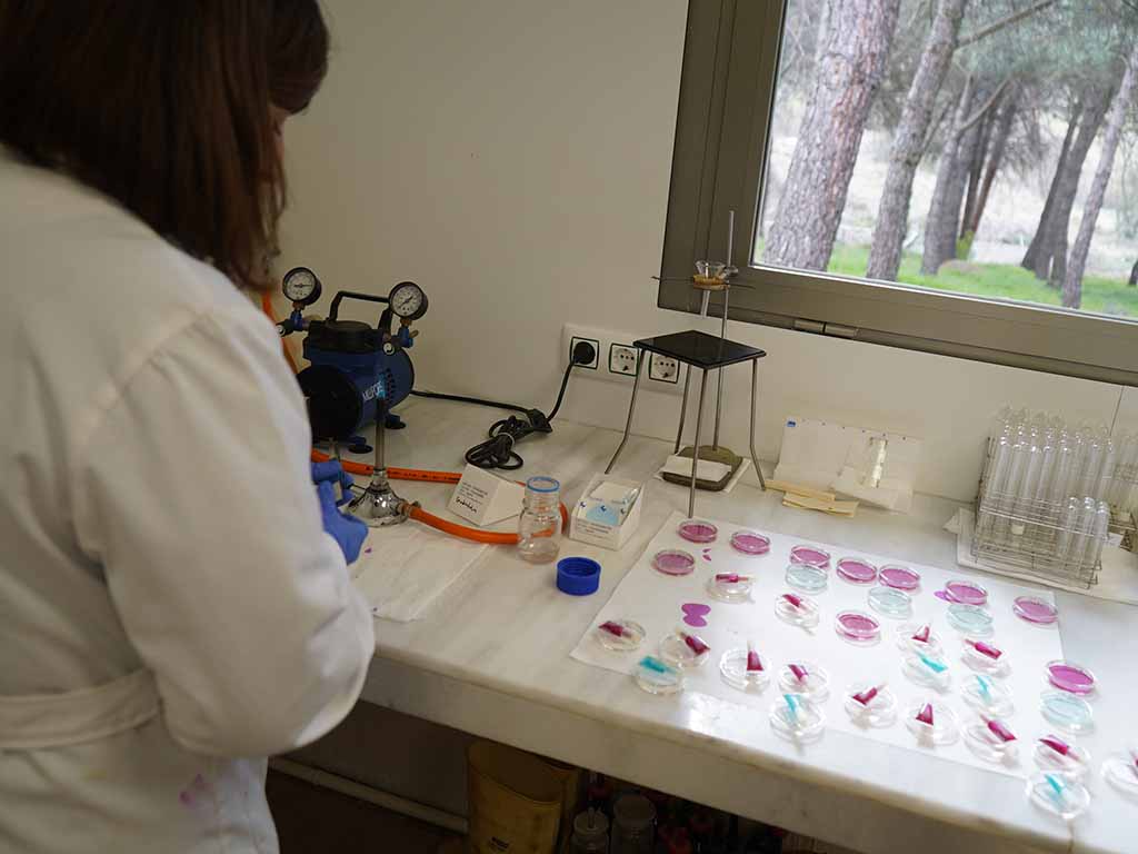 Estudio del agua en las piscinas públicas de verano. / E.A
