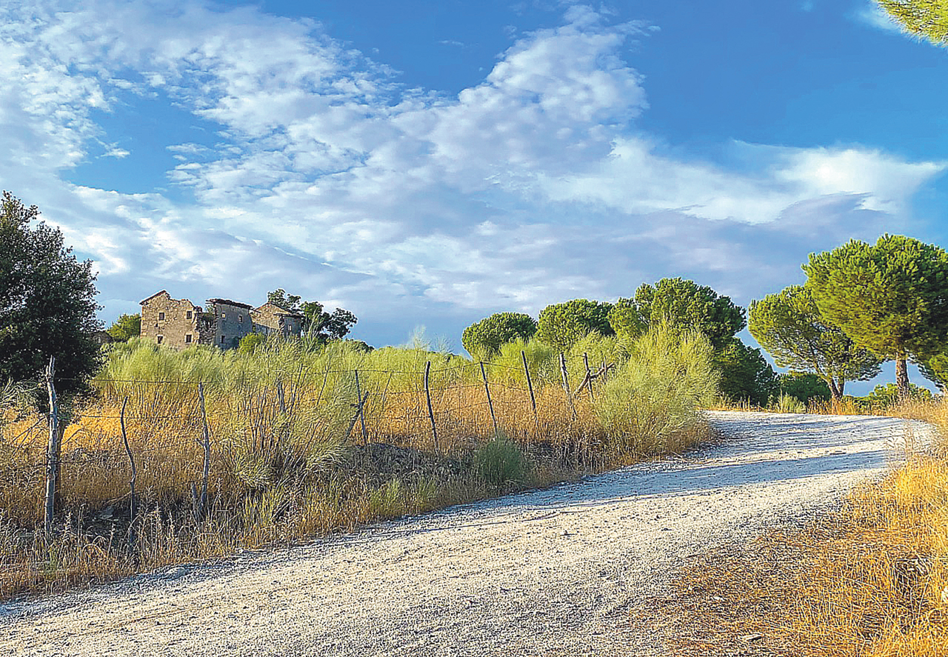 Casa Palata a la vera de la Carrera Toledana, hoy en término municipal de Galapagar (Madrid). Fue alberguería segoviana, pabellón de caza de Enrique IV y aposento de los guardas de Can Mayor.