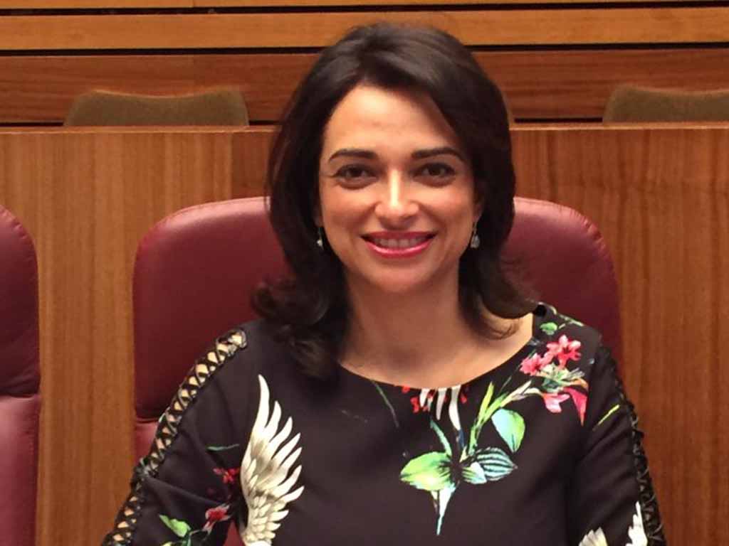 La procuradora socialista por Segovia, Alicia Palomo. / EL ADELANTADO