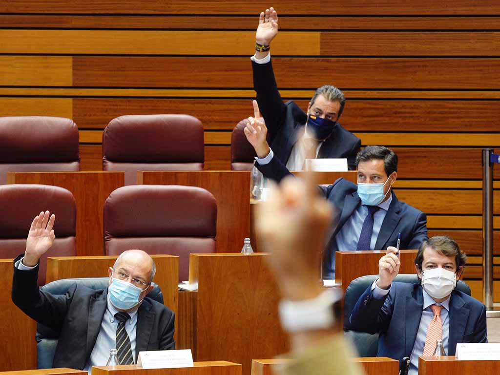Pleno de las Cortes de Castilla y León, celebrado ayer. / EFE