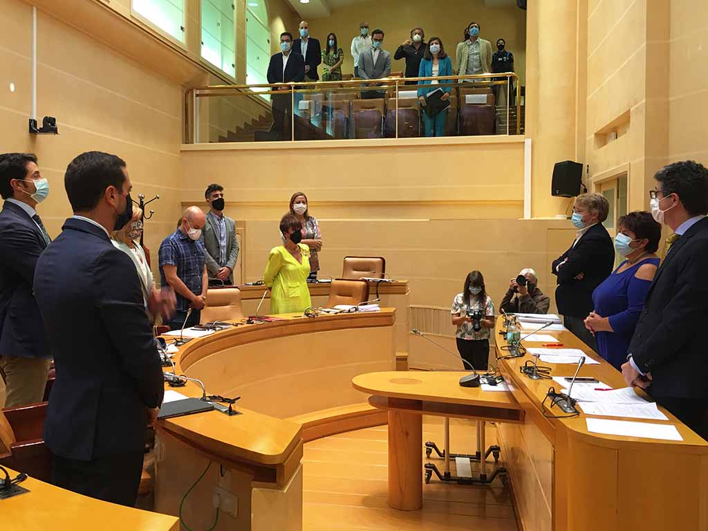 Pleno del Ayuntamiento de Segovia de este viernes. / EL ADELANTADO