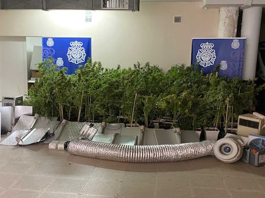 Marihuana encontrada en la vivienda. / E.A